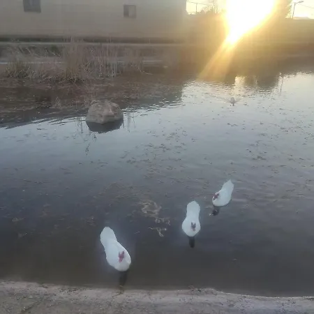 El Geiser De Pozuelo